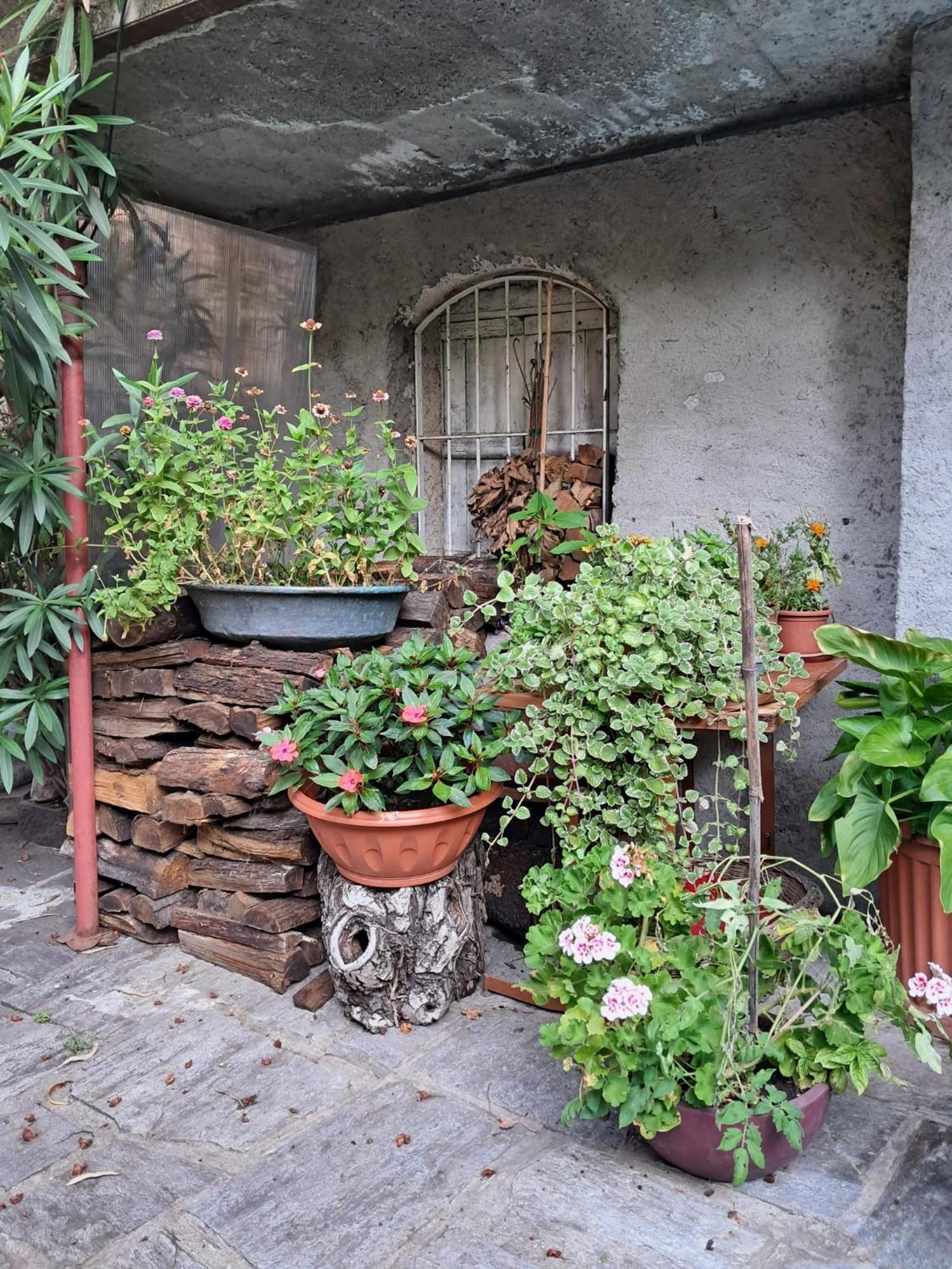 Bed and Breakfast Nonna Anita à Castelveccana Extérieur photo